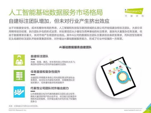 中國人工智能基礎數據服務行業報告 引領創新的人工智能基礎軟件開發